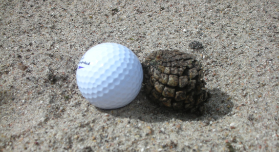 Captura de pantalla 2018-01-15 a las 23.53.01.png